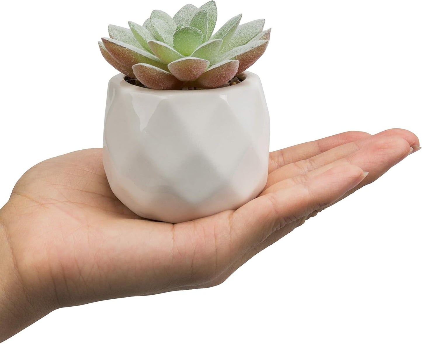 Gift Mini Assorted Green Faux Succulent, Indoor Fake Plants in Geometric Ceramic Pots, Set of 6